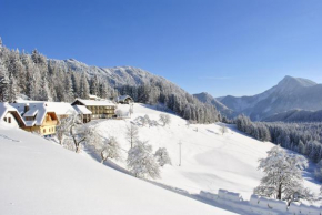 BergPension Lausegger
